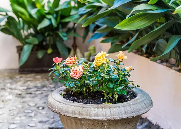 Sara Appartement Dubrovnik